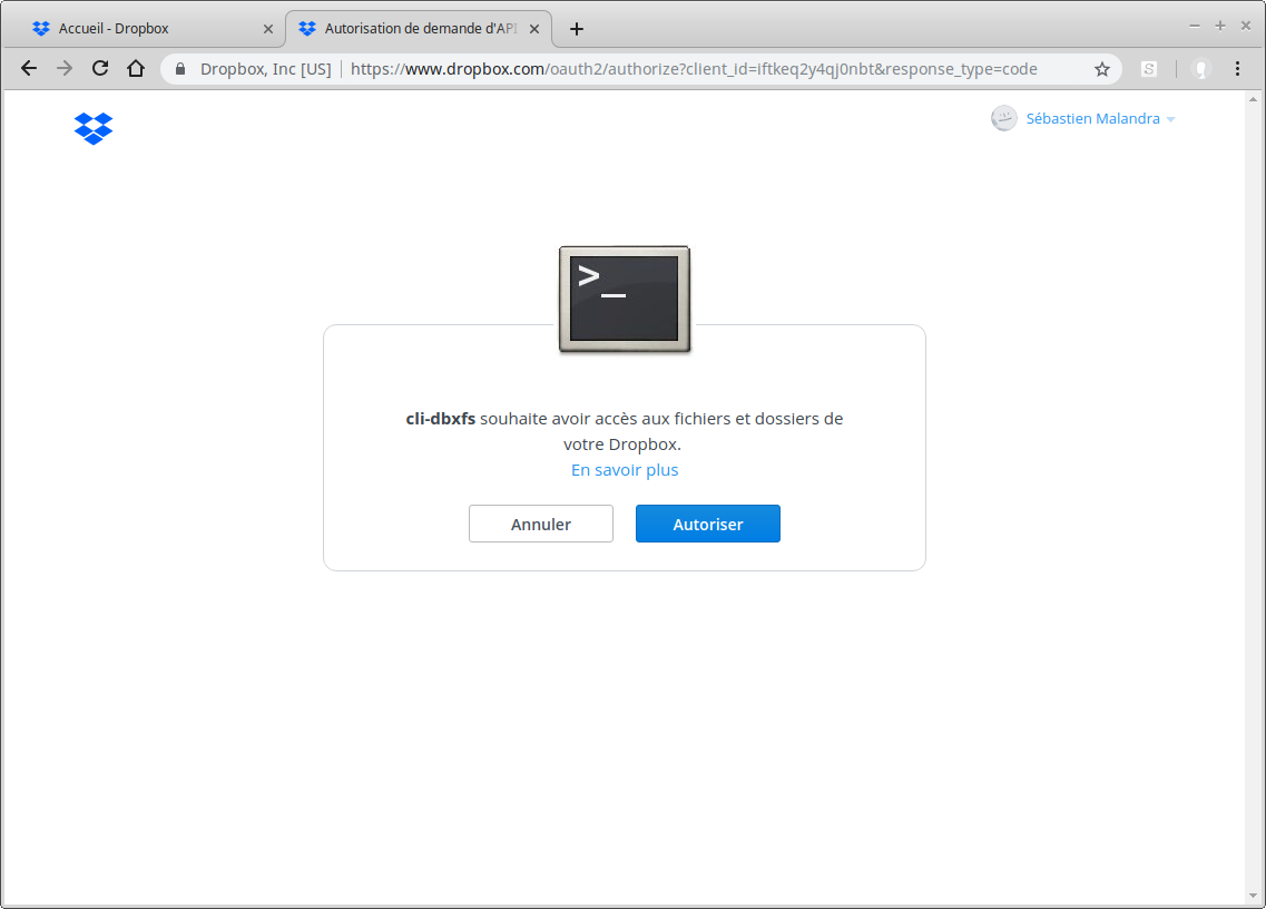 Dropbox sous Linux - Autoriser l'accès pour dbxfs