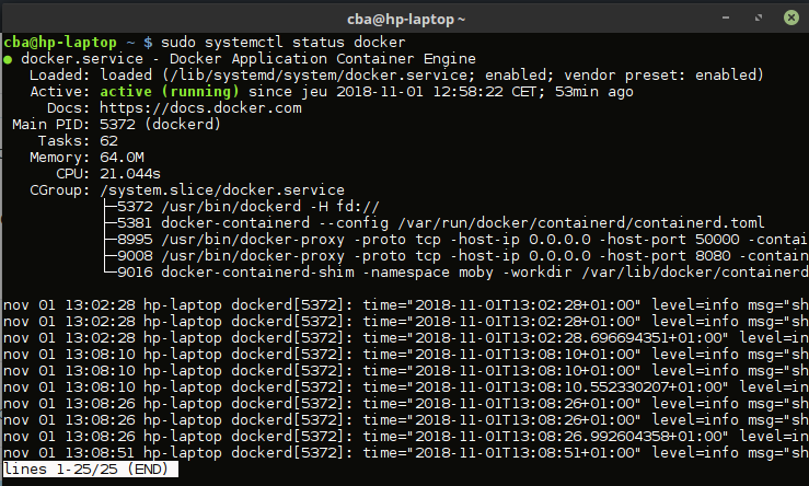 Installation de docker: vérification du status du service docker