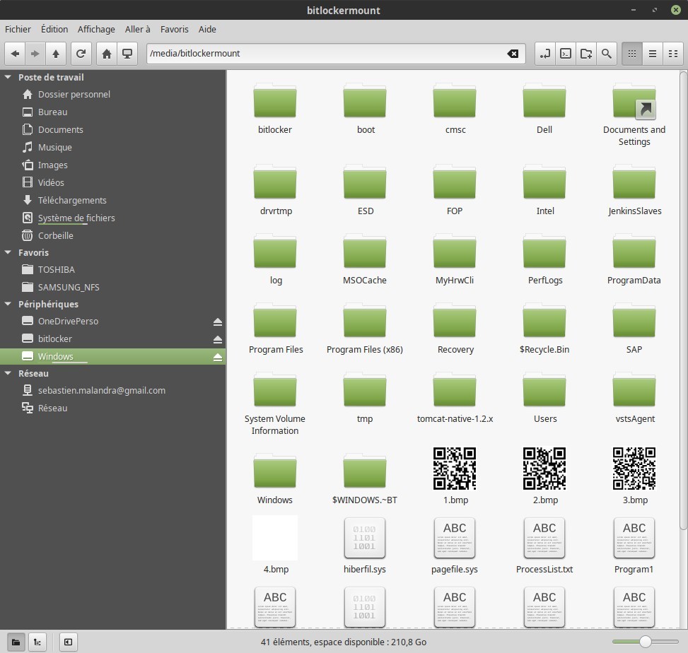 BitLocker partition depuis Nemo