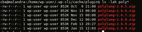 WP-cli: extensions dans le cache