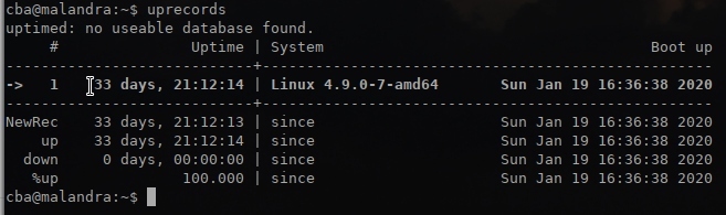 Vérifier la disponibilité de votre VPS - uprecords command depuis mon VPS