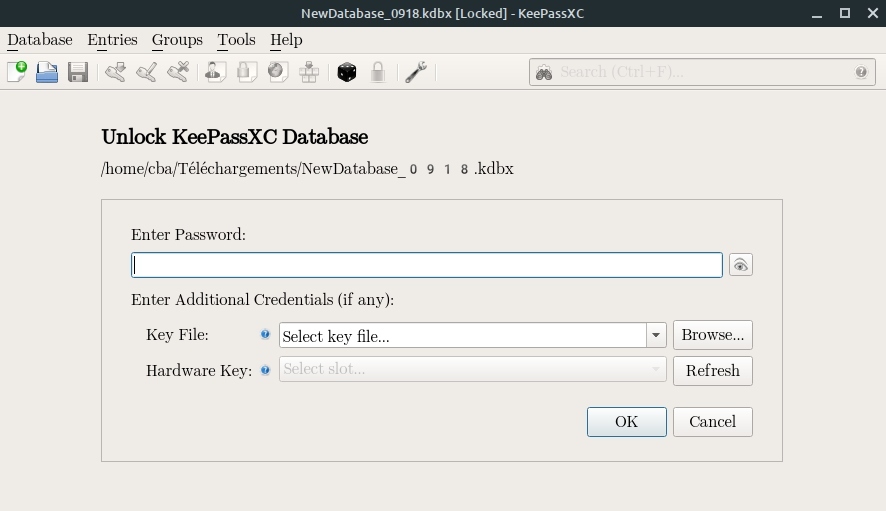 look des applications QT - KeepassXC